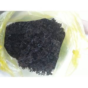 ALGA SARGASSUM SECA EN OFERTA - Product Image 5