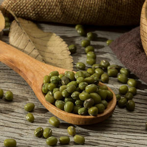 Frijoles Mung Verdes Secos de Alta Calidad / Frijoles Moong Enteros Moong Dal Alimento a Granel a Precio de Mayoreo - Product Image 4