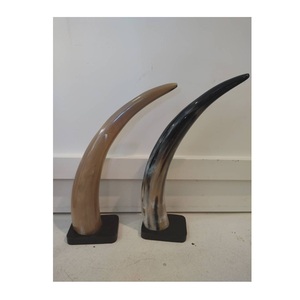 Corne décorative en forme de cercueil, base en bois, style créatif, couleur naturelle, décoration pour chambre à coucher, accessoire de décoration pour la maison - Product Image 1