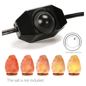 Mỹ Bảng Ánh Sáng Dimmer Chuyển Đổi Ổ Cắm Chủ Dây Điện Tiêu Chuẩn Mỹ E12 Muối Đèn Dây Dây - Product Image 3