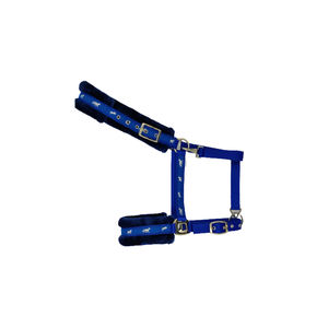 Probadores de PP duraderos, fabricante a granel, proveedor, compra al mejor precio, novedad - Product Image 2