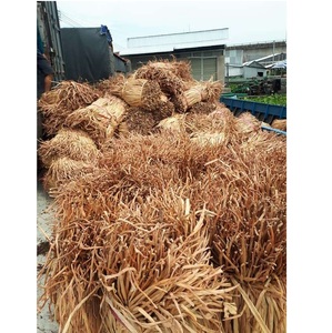 Distributeur de vinaigre d'eau séchée, grande quantité, matériel première pour la fabrication des paniers fabriqué au Vietnam, 99 données en or - Product Image 2