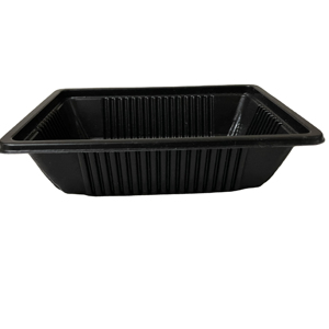 Wholesale blister box PP food packaging disposable plastic food boxes
