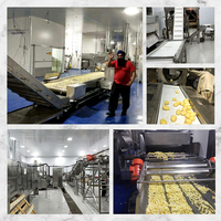 Usine de transformation de frites surgelées entièrement automatique, ligne de production de frites surgelées, machine à fabriquer des chips de pommes de terre, prix en Inde