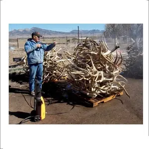 Plantes de cerfs rouges de qualité supérieure, 4 pièces, puce pour cerf rouge, qualité supérieure - Product Image 1