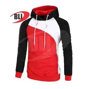 Sweatshirt à capuche pour hommes 100% coton polaire avec impression personnalisée logo sweat à capuche de jogging à la mode pour unisexe - Product Image 3