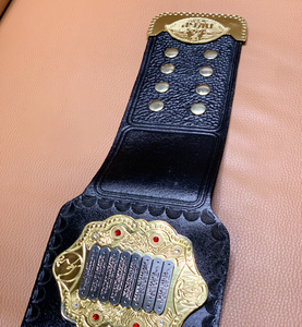 Ceinture de lutte universelle, disques en laiton personnalisés, taille adulte, 1 pièce - Product Image 3
