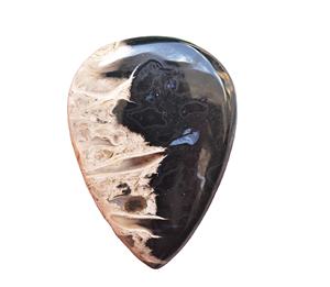 ¡Mejor calidad! Fósil-GEMA de ágata, gema semipreciosa suelta, GEMA, ágata de raíz de Palma - Product Image 1