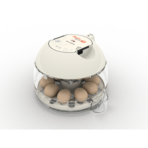 Évolution de couveuse numérique avec affichage LED, Machine à blouses Rcom ECO PLUS 10 - Product Image 1