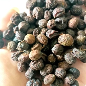 ราคาของผลไม้แห้งเวียดนาม คลอเซน่า ลันซิอุม - กอรากอตตา คาริเวปิลี - Product Image 2