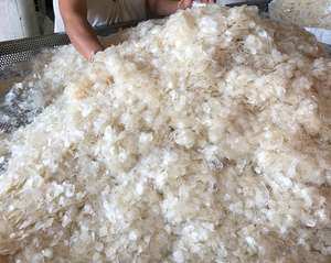 เครื่องชั่งปลาสำหรับคอลลาเจนออสเซินจากเวียดนามเครื่องชั่งปลาดิบคุณภาพสูงราคาดี + 84815570479 - Product Image 6