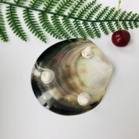 Attraktiver Preis Neue Art Shell Plate Tray Runde Obstschale Kaviar Gewürz schale Perlmutt Handmade Eco Friendly