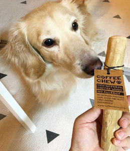 PALITAS DE MADERA DE CAFÉ PARA MASCOTAS al mejor precio al por mayor - Product Image 3