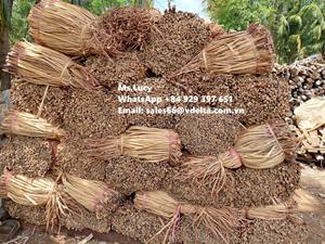 Vente en gros de matières premières écologiques jacinthe d'eau sèche/jacinthe d'eau séchée pour la fabrication d'artisanat Mme Lily + 84 906927736 - Product Image 5