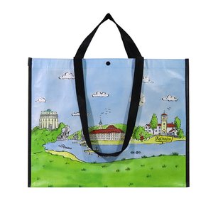 Sac de courses non tissé personnalisé imprimé en usine, sac fourre-tout réutilisable laminé pour supermarché, promotionnel, vente en gros - Product Image 1