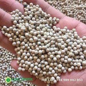 พริกไทยขาวเวียดนามขายดี กลิ่นหอมเข้มข้น ผสมพริกไทยดำคุณภาพสูง สำหรับการแปรรูปอาหารและการใช้งานในอุตสาหกรรม - Product Image 4