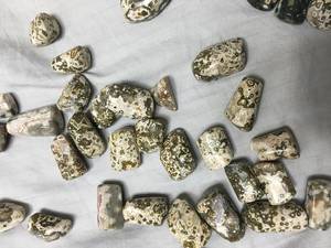 Holesale, se puede utilizar, talla única - Product Image 3