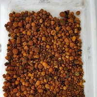 Piedras naturales de vaca, el mejor precio
