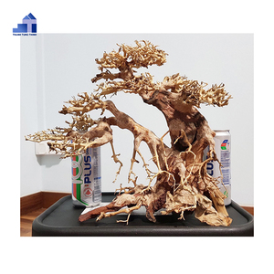 Các mặt hàng nóng 2024 bán buôn Bonsai lũa cho <span class=keywords><strong>Betta</strong></span> bể cá trang trí + 84 961005832 - Product Image 2