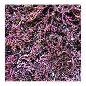 Mousses marines violettes séchées et algues violettes avec sel du Vietnam - Mme Lily - Product Image 1