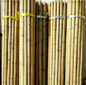 Tiang Bambu 20 ~ 30Mm