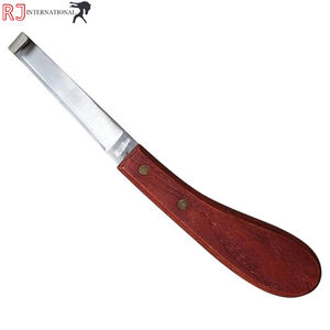 Per <span class=keywords><strong>Swiss</strong></span> strumenti veterinari riutilizzabili per la cura del cavallo coltelli a lama affilata con anello di forma ovale per la diagnostica di rifilatura - Product Image 4