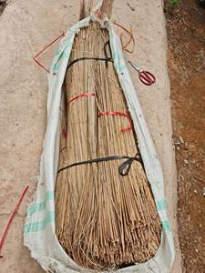 WHOLESALE COCONUT BROOM STICKS - BROOM STICKS - NIPAH BROOM STICK - Product Image 6