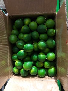 <b>FRESH</b> LEMON Green <b>Fresh</b> Lime/Seedless Lemon Premium Quality Customizable Weight (Contact Ms Helen +84 388 130 303) - Product Image 4