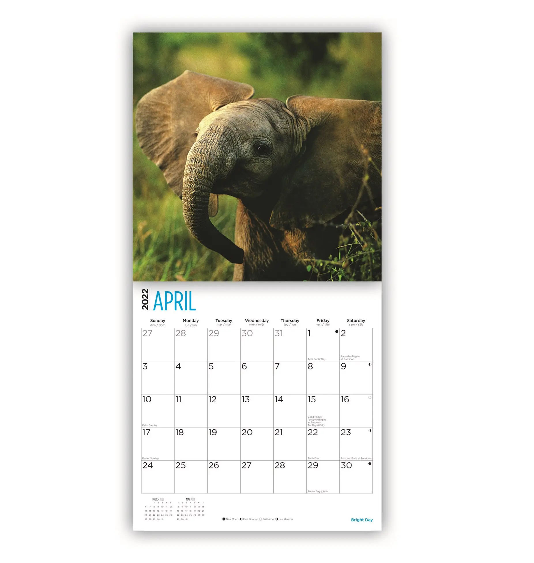 Elefantes do bebê <span class=keywords><strong>calendário</strong></span> de parede 2022