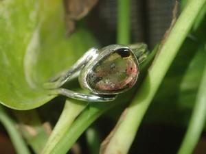 Anillo de piedras preciosas de turmalina de Plata de Ley 925 Unisex, anillo de moda de estilo étnico hecho a mano para uso ocasional en fiestas - Product Image 3