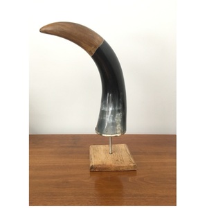 <b>Buffalo</b> <b>Horn</b> and Customized Size for Wood Stand Hotel Decorative <b>Horn</b> Cheap Price and Best Product Handcraft <b>Horns</b> - Product Image 2