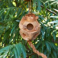 Nichoir en bois fait main écologique pour oiseaux, maison pour oiseaux de compagnie, prix abordable, accessoires COCO-ECO K1 CLASSICS