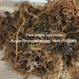 สาหร่ายอีวิเชียมา สปิโนซัม / ไอริชซีมอส - Product Image 3