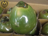 Noix de coco fraîche de qualité supérieure, pelée, pour prêt à emporter, Whatsapp : 84 981 144 196, livraison gratuite