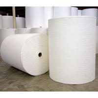 300g Geotextil-Landschafts gewebe Polypropylen-Vlies filter gewebe Geotech-Vliesstoff für schlammige Straßen