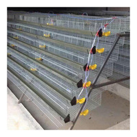 Équipement d'élevage de volailles, type cage à cailles manuelle, fermes, faible taux de rupture des œufs, fil galvanisé, 360 cailles, groupe MT fourni