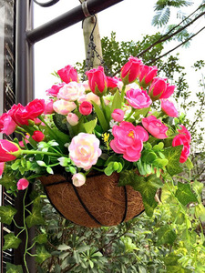 Panier suspendu en alliage de noix de coco, avec revêtement naturel, pots en noix de coco, données en or 99 - Product Image 6