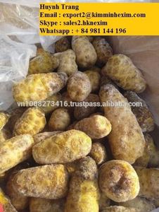 ผลไม้โนนีแช่แข็งจากเวียดนาม - Product Image 3