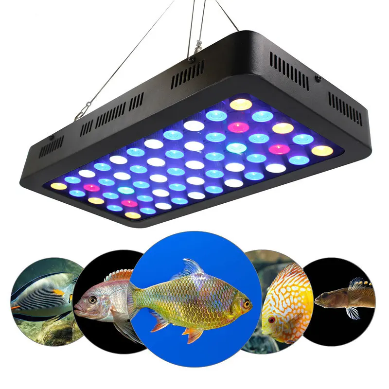 55W * 3 165W Dimmable <span class=keywords><strong>Led</strong></span> 해양 <span class=keywords><strong>수족관</strong></span> 빛 암초 <span class=keywords><strong>수족관</strong></span> <span class=keywords><strong>Led</strong></span> 조명 램프 산호 암초 물고기 탱크