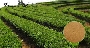 Aminoácido Natural, aminoácido al por mayor, aminoácido de origen animal - Product Image 4