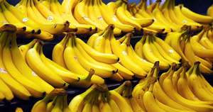 NEW CROP Banane Cavendish de haute qualité, meilleur vendeur du fournisseur du Vietnam au prix le moins cher - Product Image 2