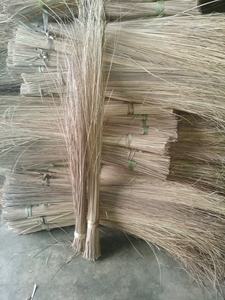 Precio más barato palos de escoba de coco/palillo de escoba de hoja de palma para artesanía Vietnam origen GGN marca - Product Image 2