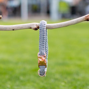 Macrame <b>Dog</b> <b>Leash</b> Collar Handmade Cotton with Special Rope <b>Leash</b> - Product Image 1