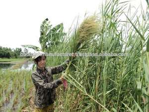 Balai en paille naturelle - Product Image 4