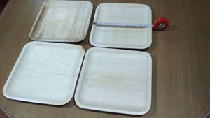 Bandeja de placa de hoja de palma areca natural desechable, platos de hoja de plátano, cubiertos, vajilla de hoja de palma - Product Image 3