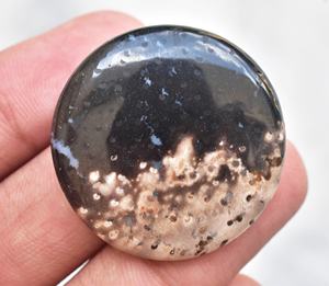 ¡Mejor calidad! Fósil-GEMA de ágata, gema semipreciosa suelta, GEMA, ágata de raíz de Palma - Product Image 4