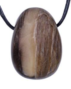 Stone Pendant Petrified Wood Healing Pendant Stone Tumbled Pendant Crystal Tumbled Gemstone Agate Necklace Wholesaler - Product Image 1