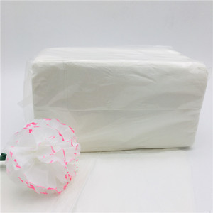 Serviettes blanches interpliées 2 plis 15 g/m² 20x16,5 cm 250 feuilles par paquet 24 paquets par carton - Product Image 4
