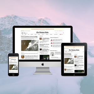 Top Notch Meta Tag Optimization Company in India | Award Winning Search Engine Optimization Services by Webroot Infosoft - Product Image 3