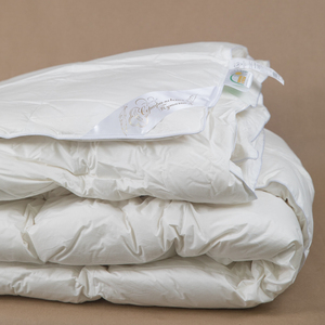 Couverture Victoria 200x220 duvet d'oie naturel 100% coton tissu chaud hiver couverture couette avec prix compétitif couverture de lit - Product Image 2